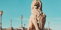 Statue de lion à Anvers en Belgique