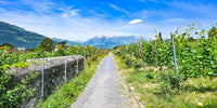 Ciel dégagé et fort ensoleillement sur les sommets des Alpes du Liechtenstein, conditions anticycloniques en haute altitude