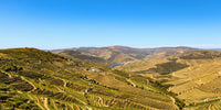 Vallée du Douro et vignobles en terrasses dans le nord du Portugal